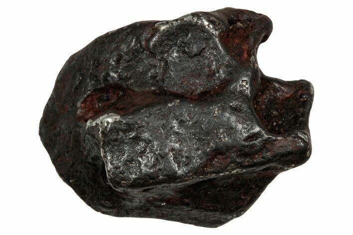 Canyon Diablo Iron Meteorite ( g) - Arizona #336024